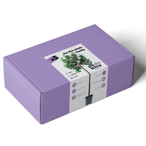 Paulownia Box