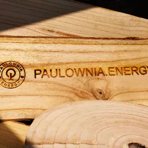 Деревина Павловнії Деревина Павловнії