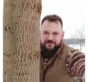 Умови для оптимального росту Павловнії в Україні Умови для оптимального росту Павловнії в Україні