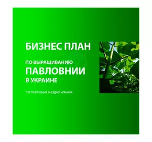Павловнія бізнес-план для України Павловнія бізнес-план для України