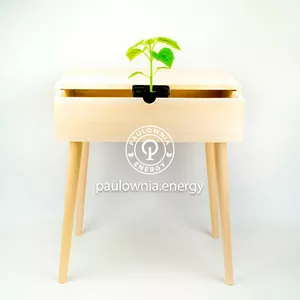 Меблі з Павловнії Меблі з Павловнії