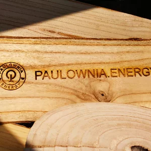 Деревина Павловнії Деревина Павловнії